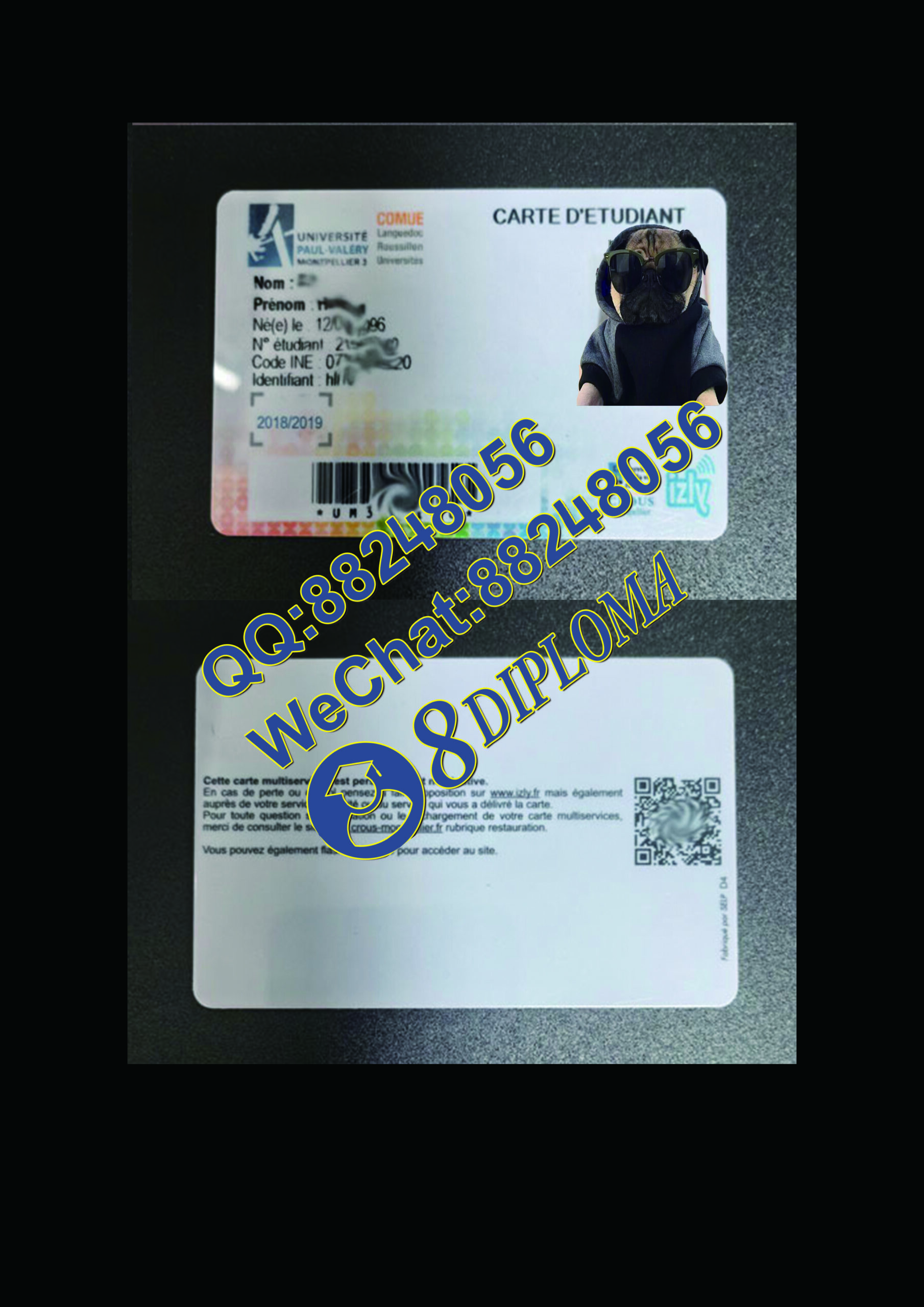 保罗-瓦莱里大学学生证定制