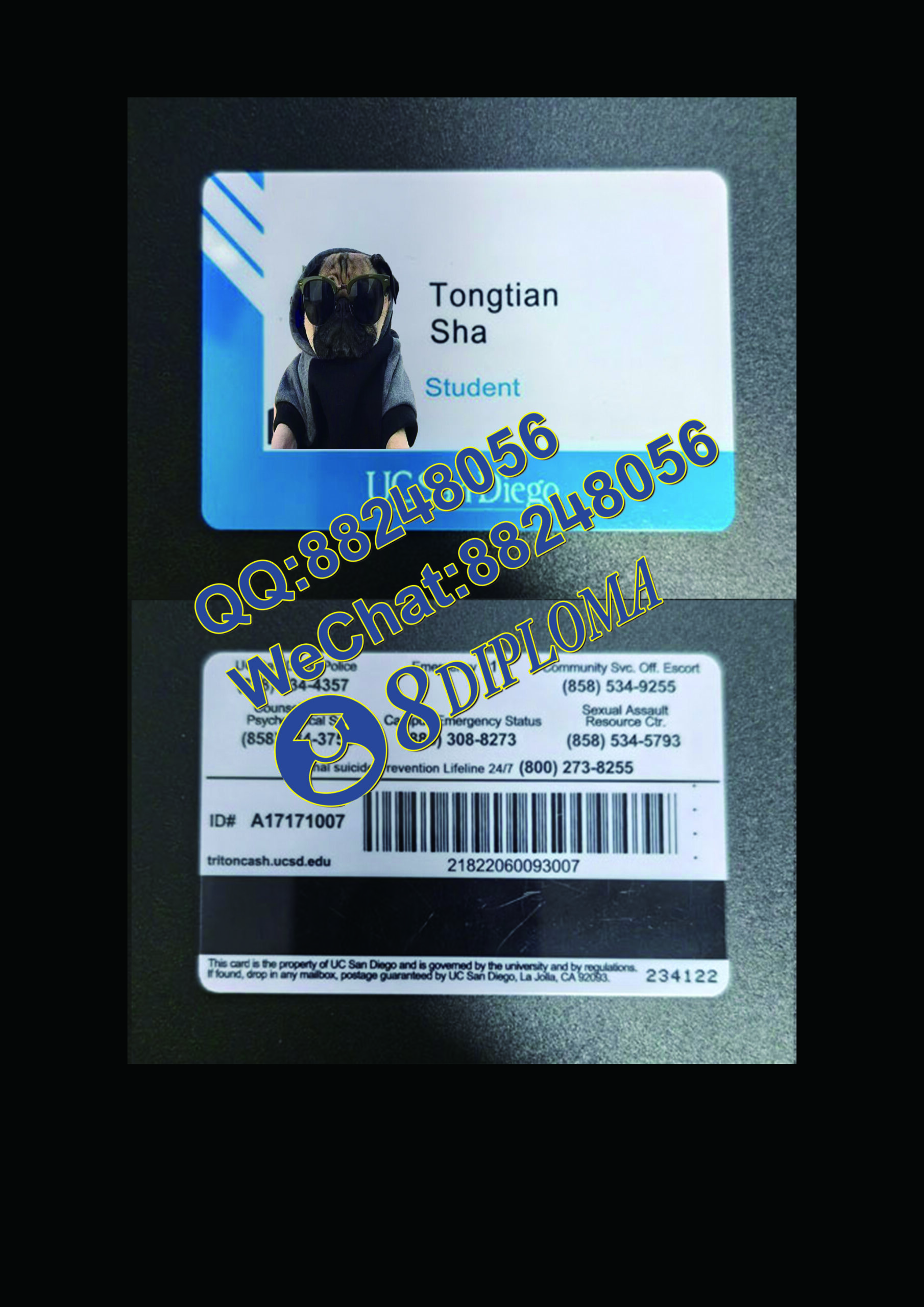 加利福尼亚大学圣地哥亚分校学生卡定制