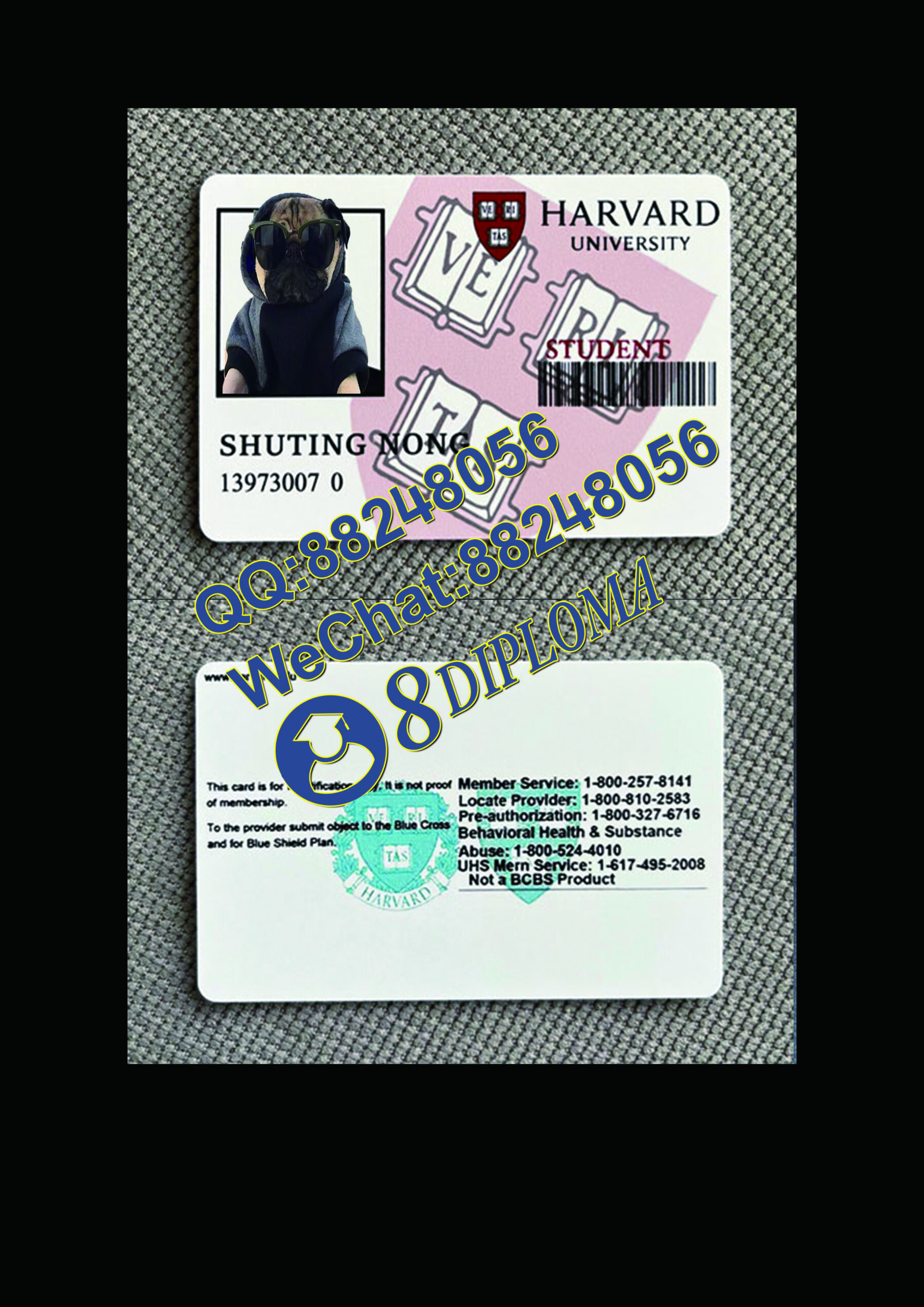 哈佛大学学生证定制