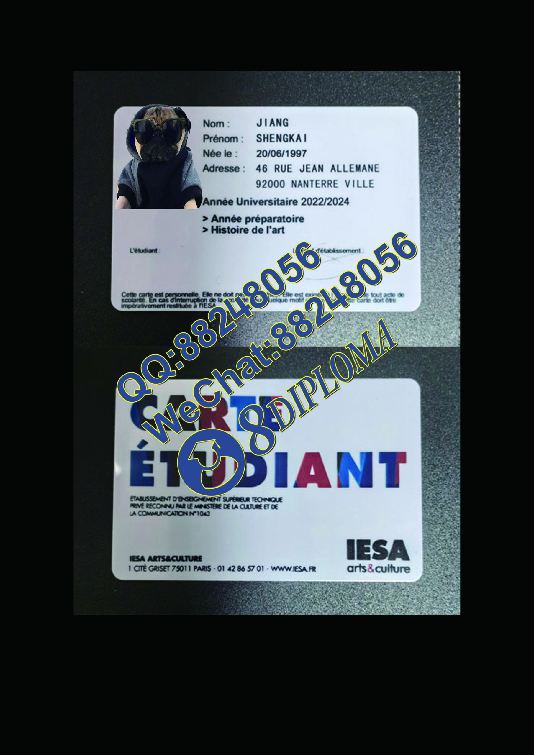 巴黎高等文化艺术管理学院学生证定制