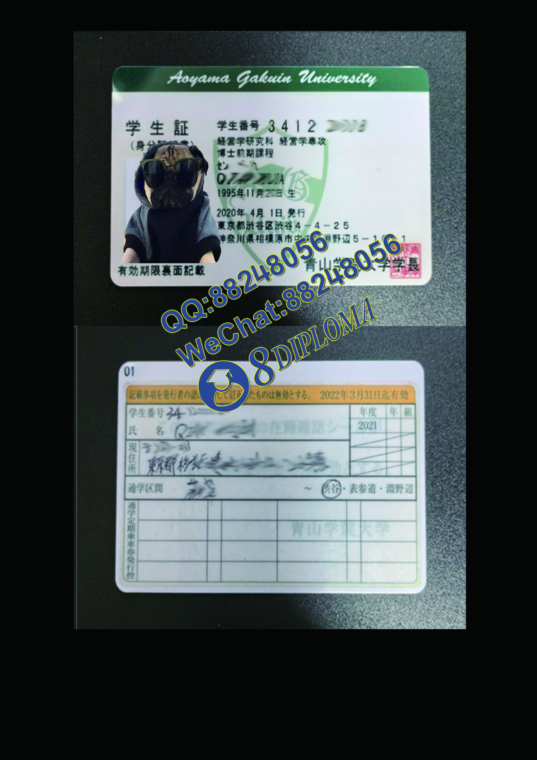 青山大学学生卡定制