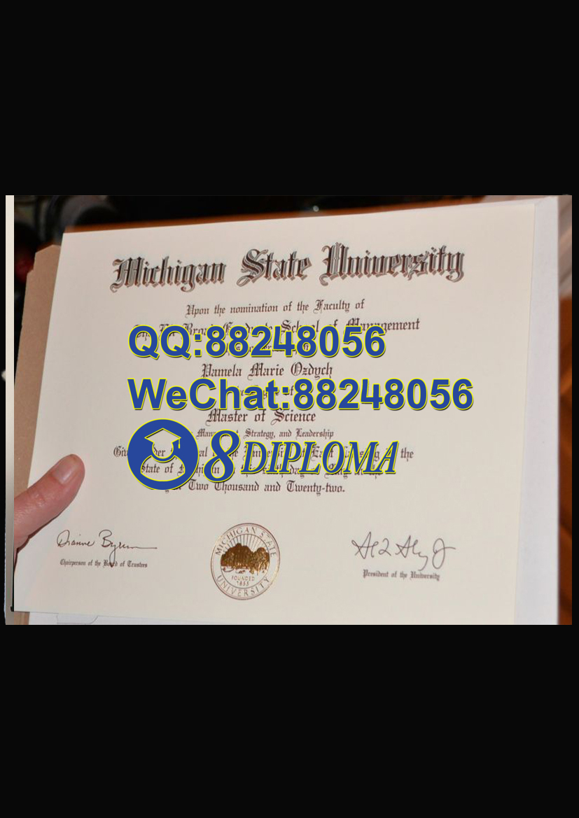 美国密歇根州立大学毕业证样板学位证成绩单学历认证留信认证学生卡offer信封