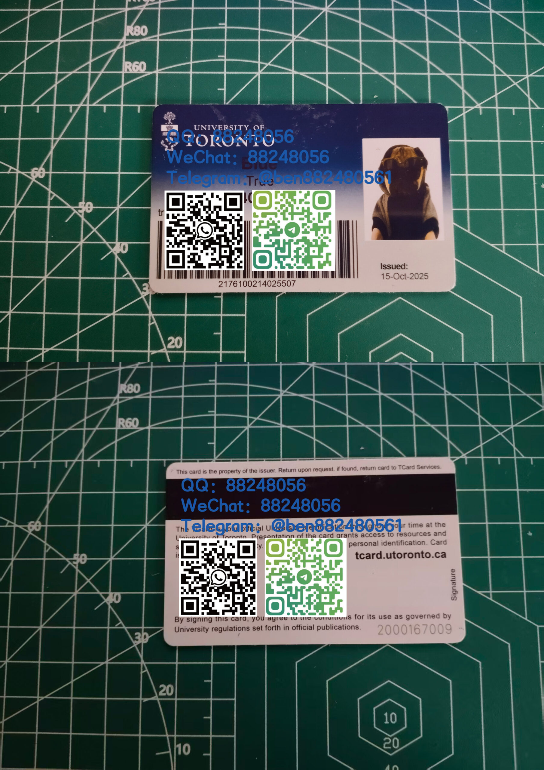 加拿大多伦多大学学生卡定制高质量pvc卡定制学生卡校园卡制作