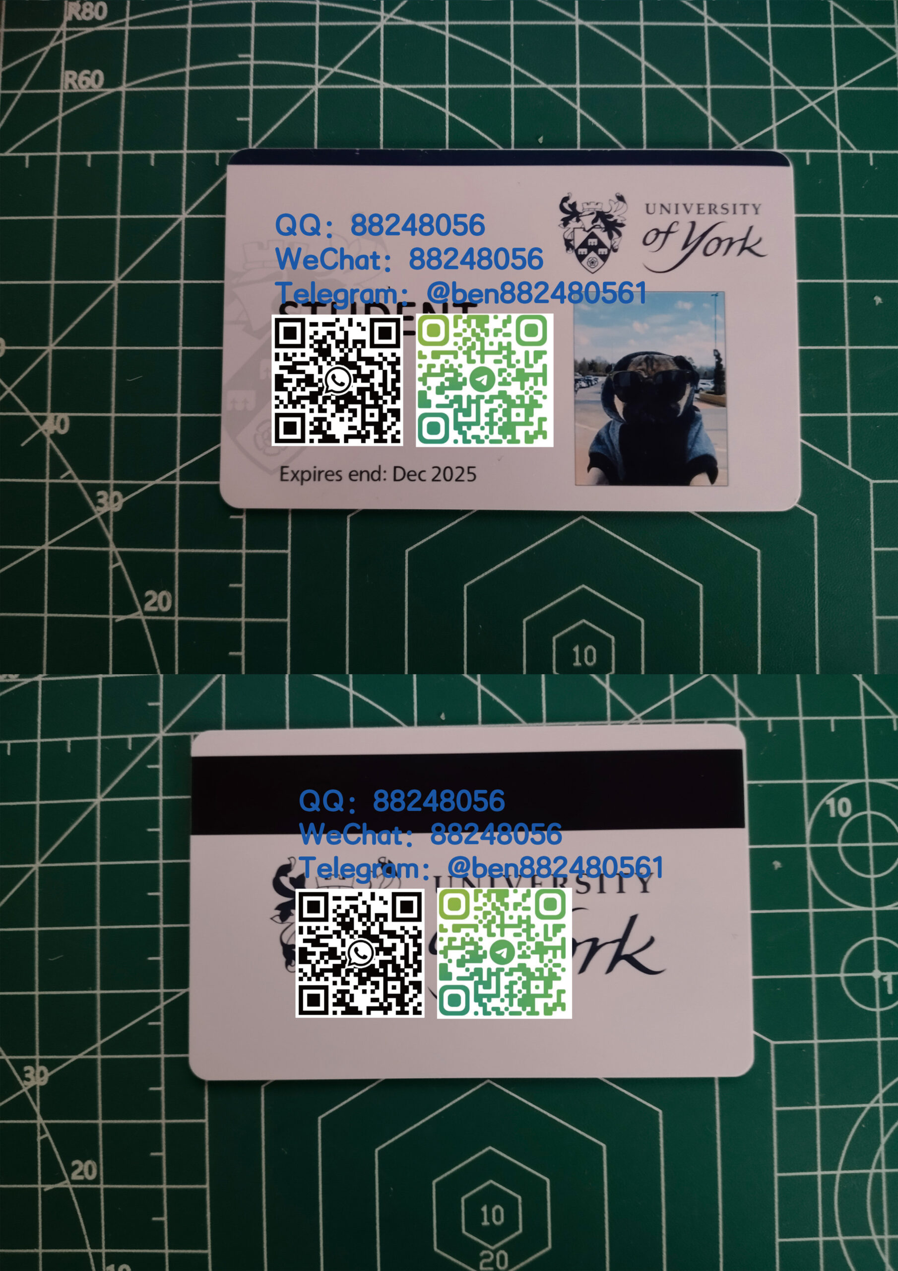 英国约克大学学生卡样板人像卡校园卡定制工作卡pvc材质高清